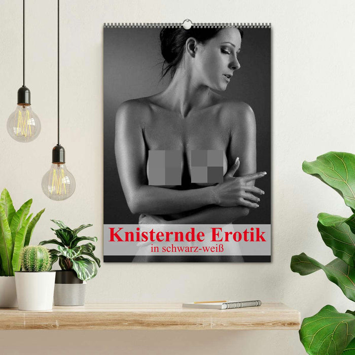 Knisternde Erotik in schwarz-weiß (CALVENDO Wandkalender 2026)