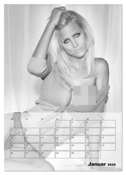 Knisternde Erotik in schwarz-weiß (CALVENDO Wandkalender 2026)