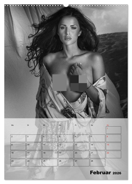 Knisternde Erotik in schwarz-weiß (CALVENDO Wandkalender 2026)