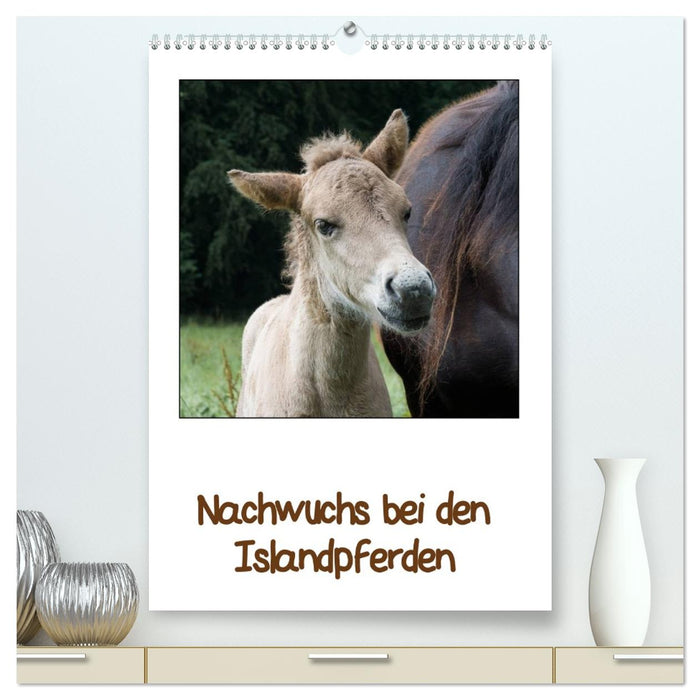 Nachwuchs bei den Islandpferden (CALVENDO Premium Wandkalender 2026)
