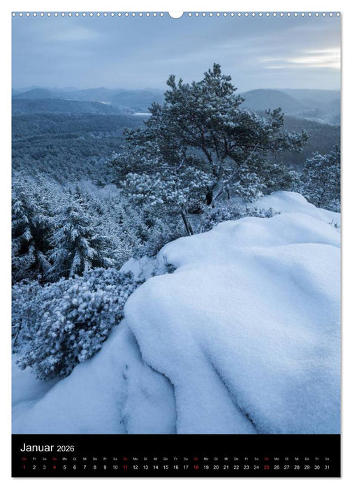 NATURWUNDER PFÄLZERWALD (CALVENDO Premium Wandkalender 2026)