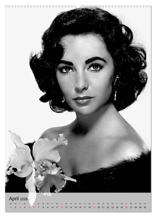 Elizabeth Taylor (CALVENDO Wandkalender 2026)