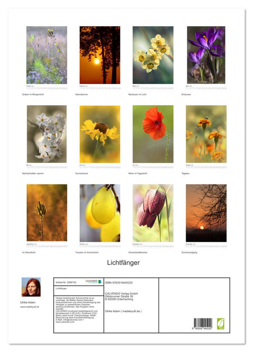 Lichtfänger (CALVENDO Wandkalender 2026)