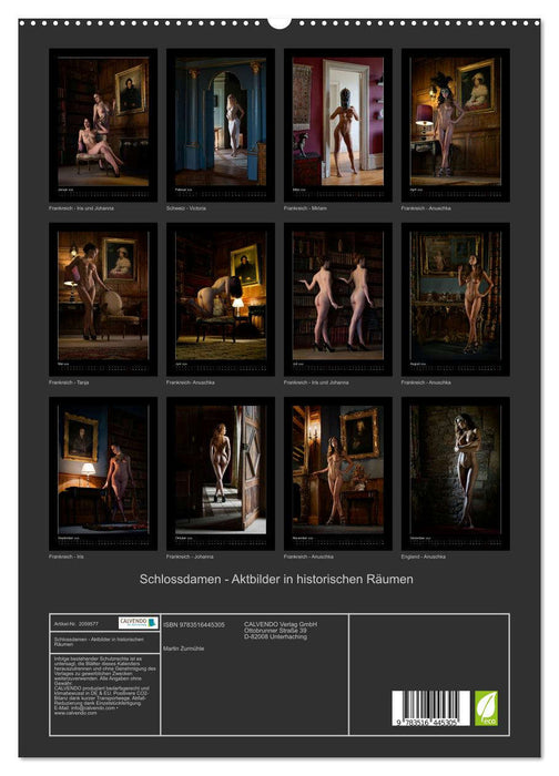 Schlossdamen - Aktbilder in historischen Räumen (CALVENDO Premium Wandkalender 2026)