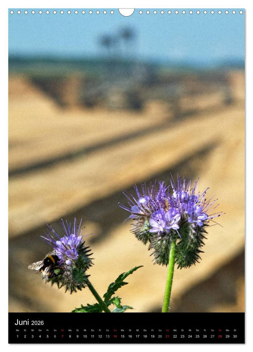 Der Tagebau Hambach (CALVENDO Wandkalender 2026)