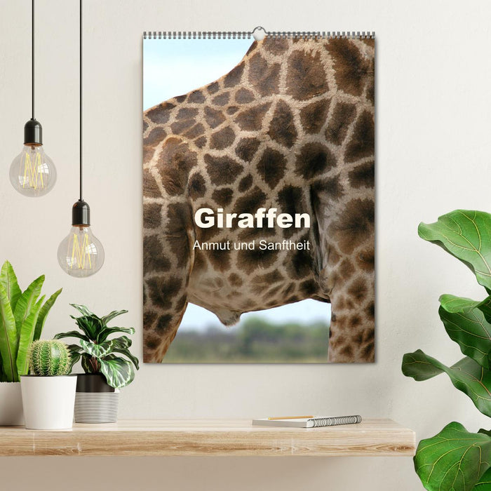 Giraffen - Anmut und Sanftheit (CALVENDO Wandkalender 2026)
