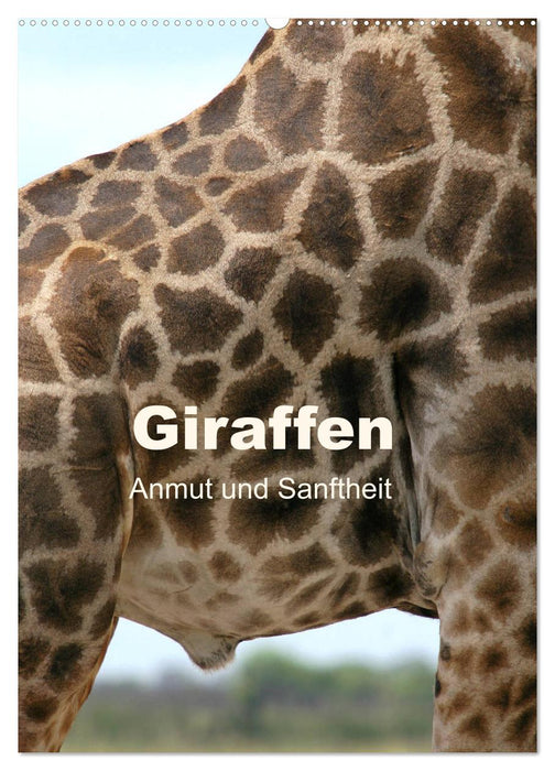 Giraffen - Anmut und Sanftheit (CALVENDO Wandkalender 2026)