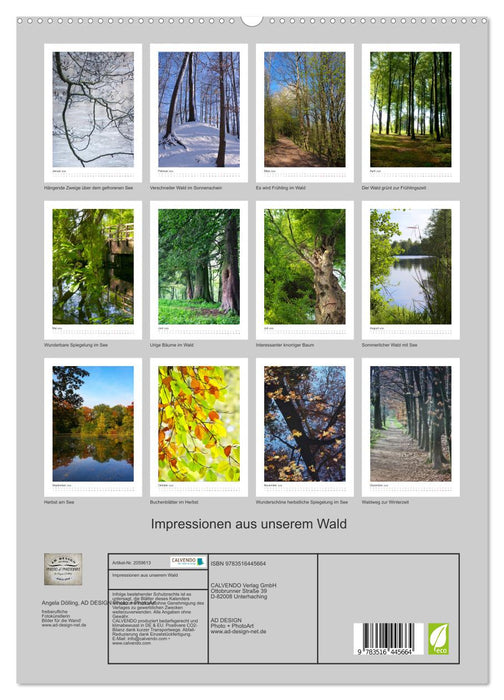 Impressionen aus unserem Wald (CALVENDO Premium Wandkalender 2026)