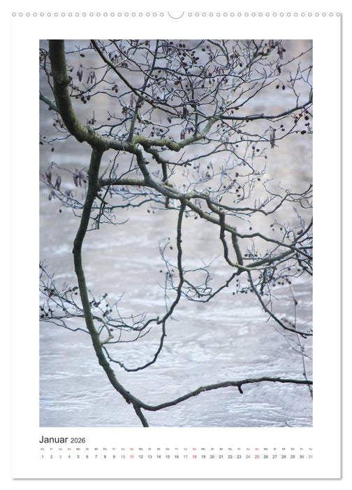 Impressionen aus unserem Wald (CALVENDO Premium Wandkalender 2026)