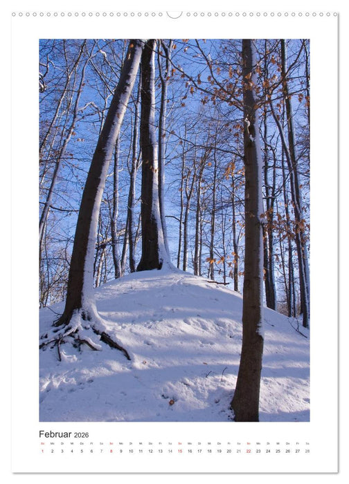 Impressionen aus unserem Wald (CALVENDO Premium Wandkalender 2026)