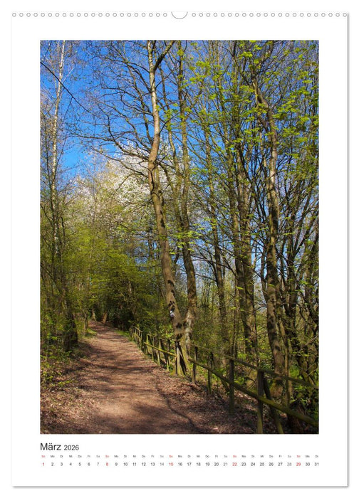Impressionen aus unserem Wald (CALVENDO Premium Wandkalender 2026)