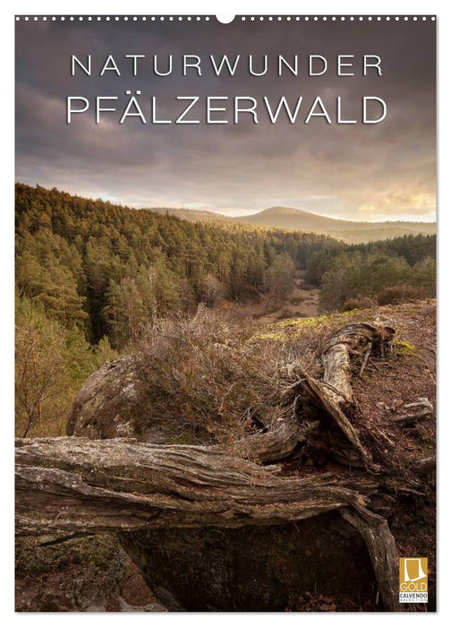 NATURWUNDER PFÄLZERWALD (CALVENDO Wandkalender 2026)
