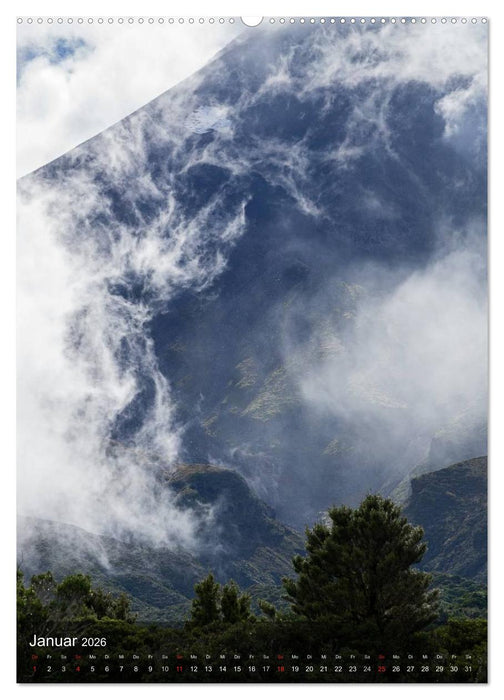 Wildes Neuseeland (CALVENDO Wandkalender 2026)