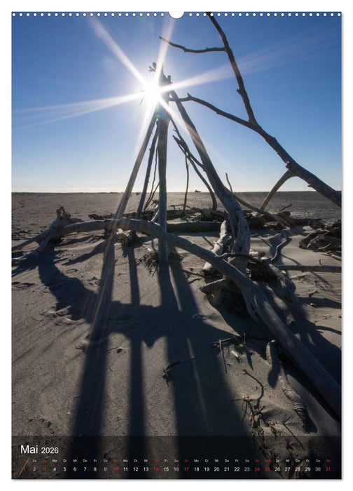 Wildes Neuseeland (CALVENDO Wandkalender 2026)