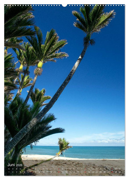 Wildes Neuseeland (CALVENDO Wandkalender 2026)