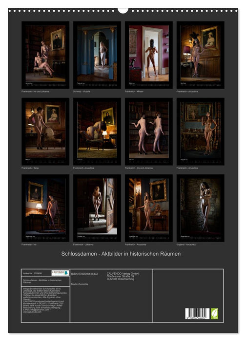 Schlossdamen - Aktbilder in historischen Räumen (CALVENDO Wandkalender 2026)