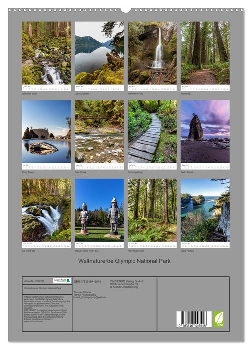 Weltnaturerbe Olympic National Park (CALVENDO Premium Wandkalender 2026)