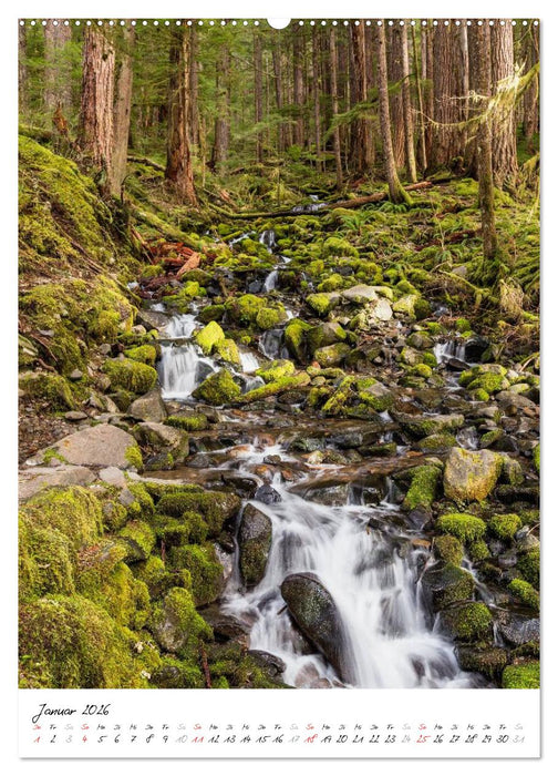 Weltnaturerbe Olympic National Park (CALVENDO Premium Wandkalender 2026)