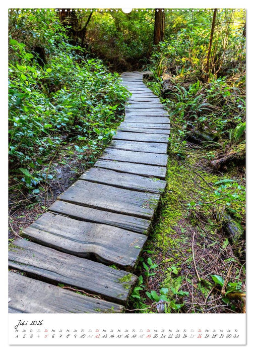 Weltnaturerbe Olympic National Park (CALVENDO Premium Wandkalender 2026)