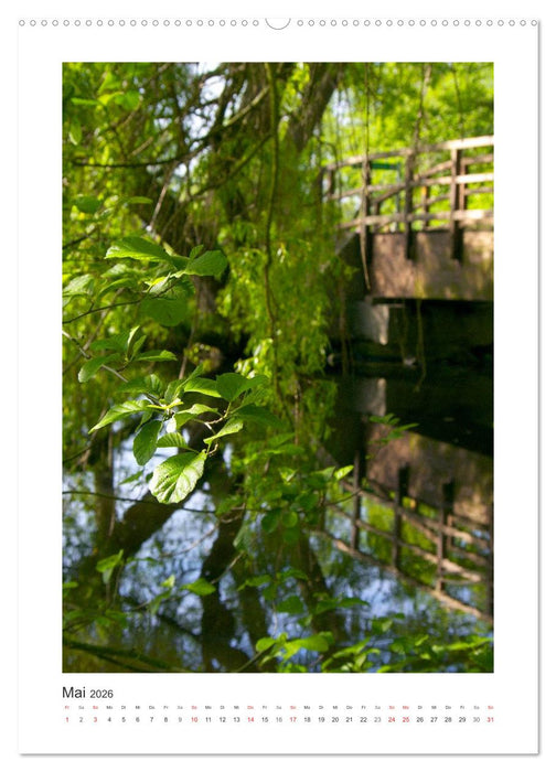 Impressionen aus unserem Wald (CALVENDO Wandkalender 2026)