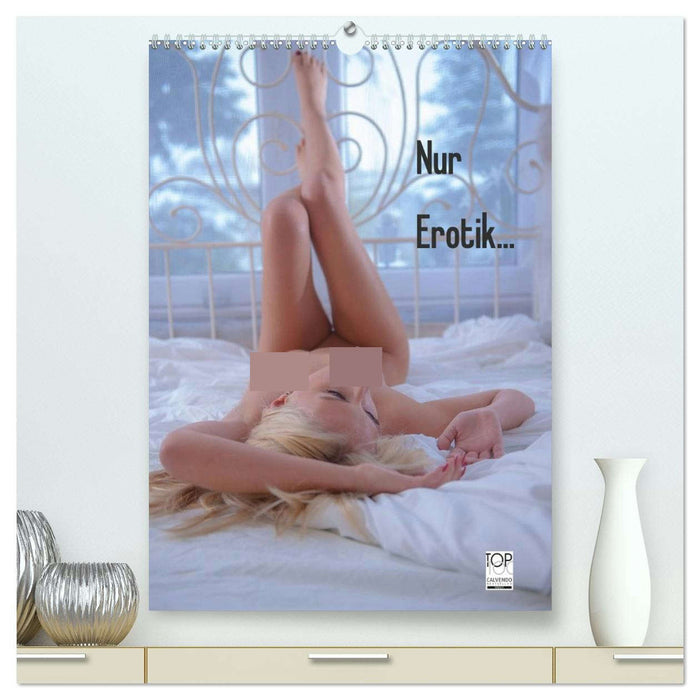 Nur Erotik... (CALVENDO Premium Wandkalender 2026)