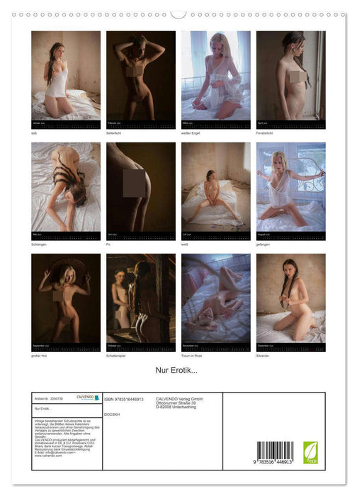 Nur Erotik... (CALVENDO Premium Wandkalender 2026)