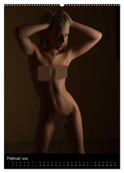 Nur Erotik... (CALVENDO Premium Wandkalender 2026)