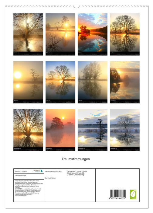 Traumstimmungen (CALVENDO Premium Wandkalender 2026)