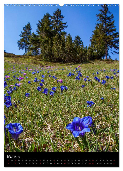 Bergblicke - Mittenwald (CALVENDO Wandkalender 2026)