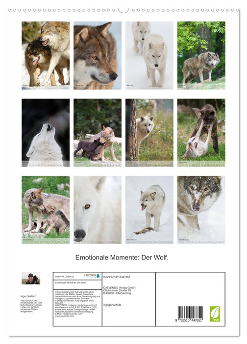 Emotionale Momente: Der Wolf. (CALVENDO Premium Wandkalender 2026)
