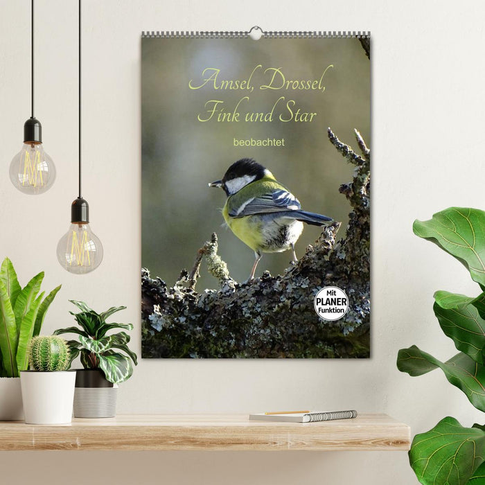 Amsel, Drossel, Fink und Star - beobachtet (CALVENDO Wandkalender 2026)