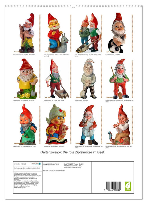 Gartenzwerge: Die rote Zipfelmütze im Beet (CALVENDO Wandkalender 2026)