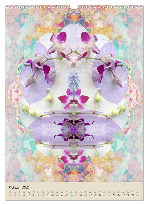 MANDALAS DES LICHTS (CALVENDO Wandkalender 2026)