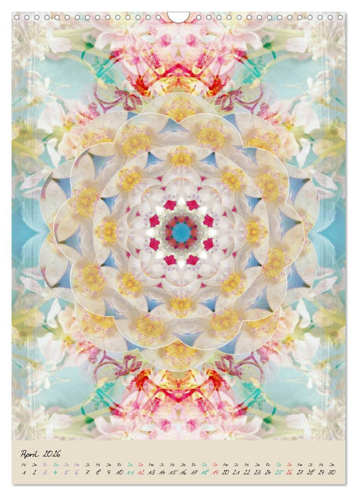 MANDALAS DES LICHTS (CALVENDO Wandkalender 2026)
