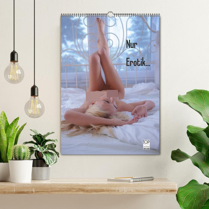 Nur Erotik... (CALVENDO Wandkalender 2026)