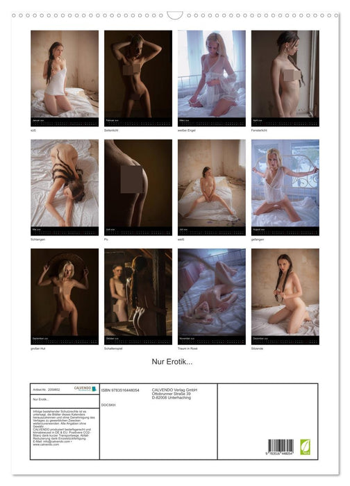 Nur Erotik... (CALVENDO Wandkalender 2026)