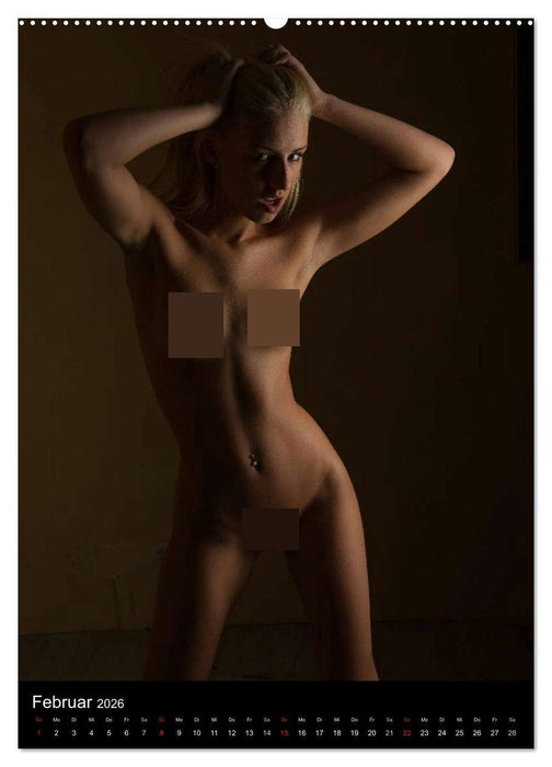 Nur Erotik... (CALVENDO Wandkalender 2026)