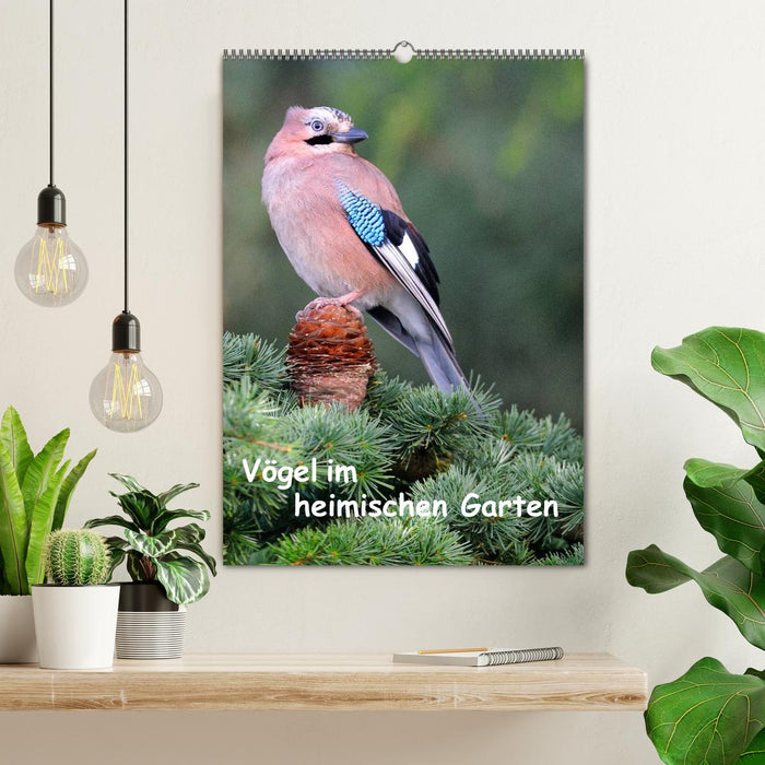 Vögel im heimischen Garten (CALVENDO Wandkalender 2026)