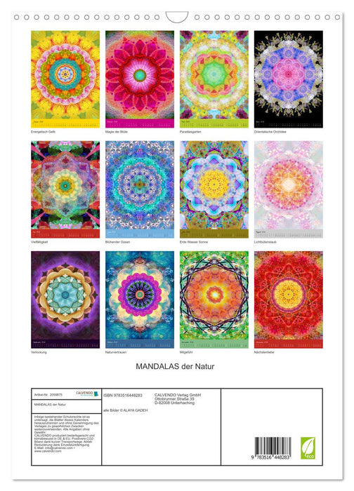 MANDALAS der Natur (CALVENDO Wandkalender 2026)