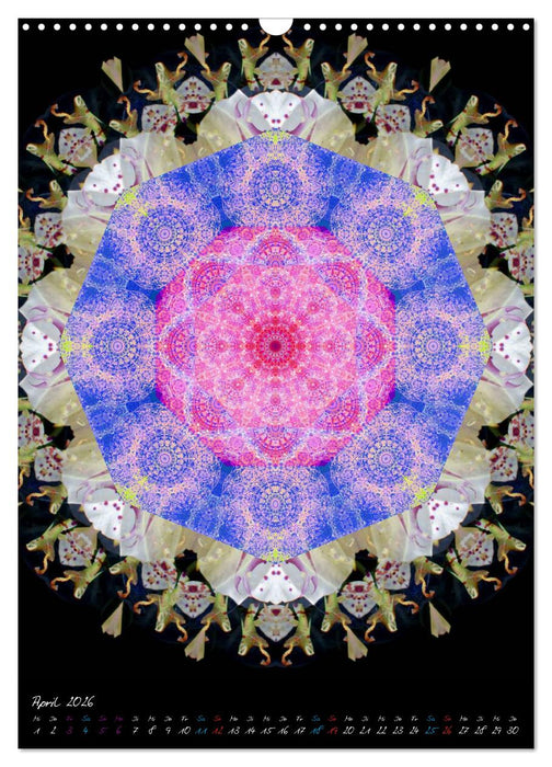 MANDALAS der Natur (CALVENDO Wandkalender 2026)