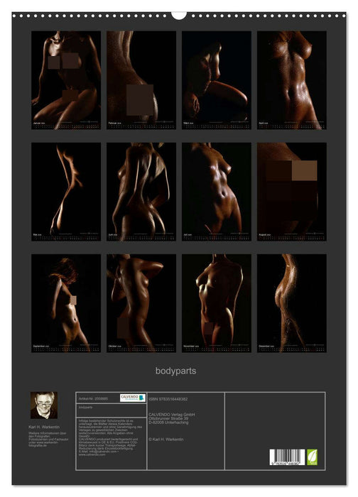 bodyparts (CALVENDO Wandkalender 2026)
