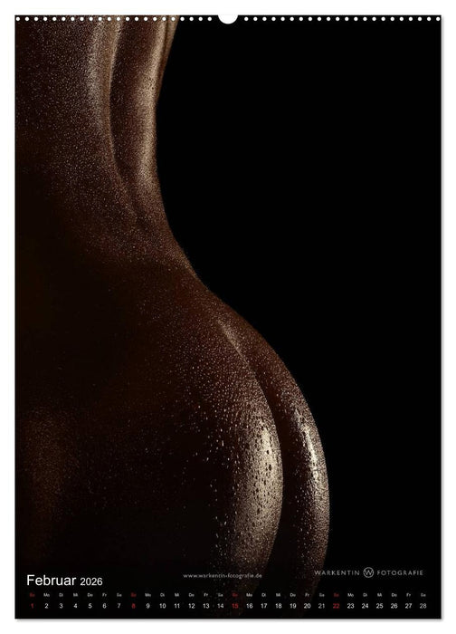 bodyparts (CALVENDO Wandkalender 2026)