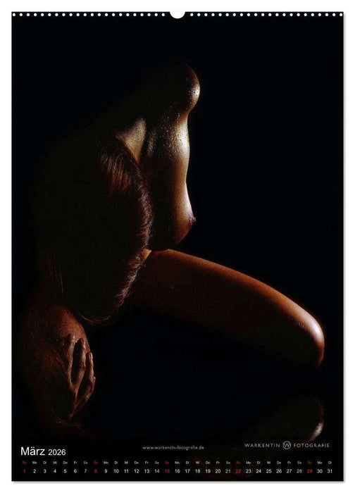 bodyparts (CALVENDO Wandkalender 2026)