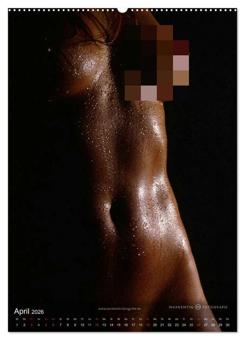 bodyparts (CALVENDO Wandkalender 2026)