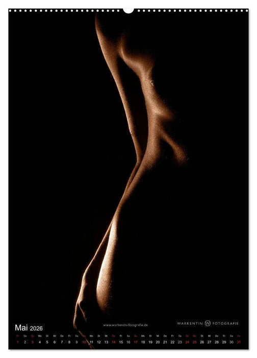 bodyparts (CALVENDO Wandkalender 2026)