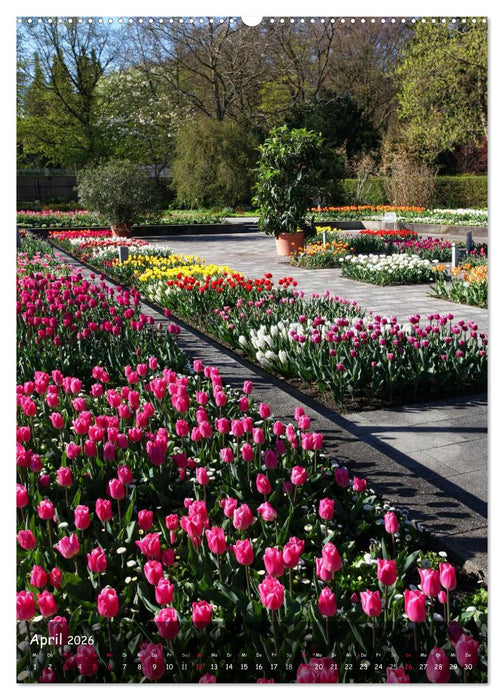 Schwabenmetropole Augsburg (CALVENDO Wandkalender 2026)