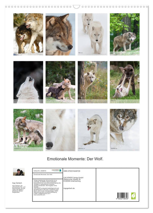 Emotionale Momente: Der Wolf. (CALVENDO Wandkalender 2026)