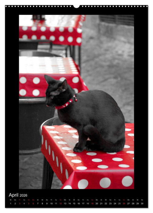 Lissabon Straßen im Licht (CALVENDO Premium Wandkalender 2026)