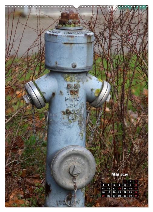 Nostalgie Hydranten (CALVENDO Premium Wandkalender 2026)