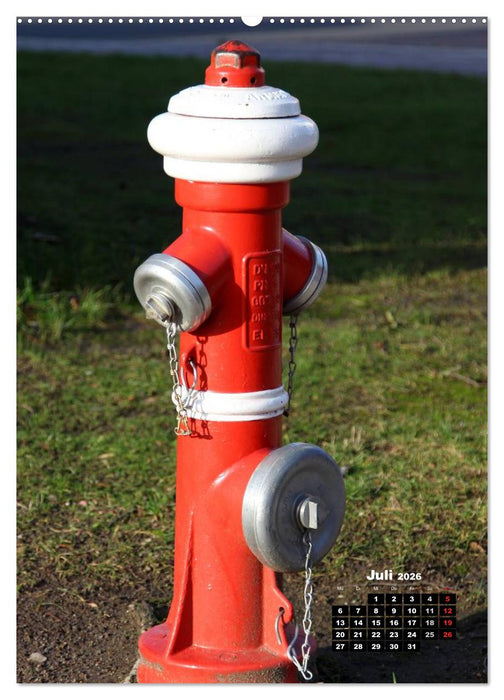 Nostalgie Hydranten (CALVENDO Premium Wandkalender 2026)
